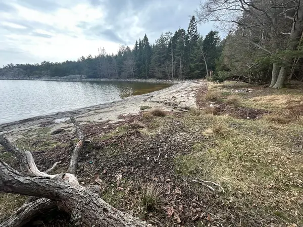 Vänsviken, Nåttarö